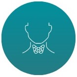 endocrinologia